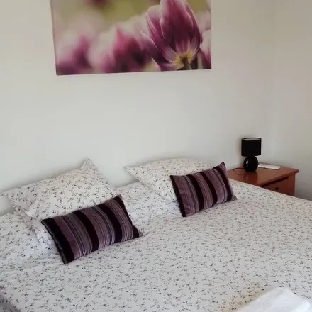 Rent this 1 bed apartment on Alcobaça in Leiria, Portugal