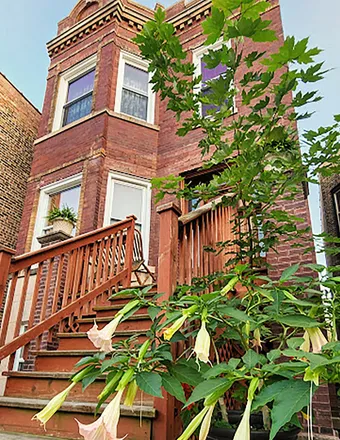 Buy this 7 bed duplex on 2601 West Walton Street in Chicago, IL 60622