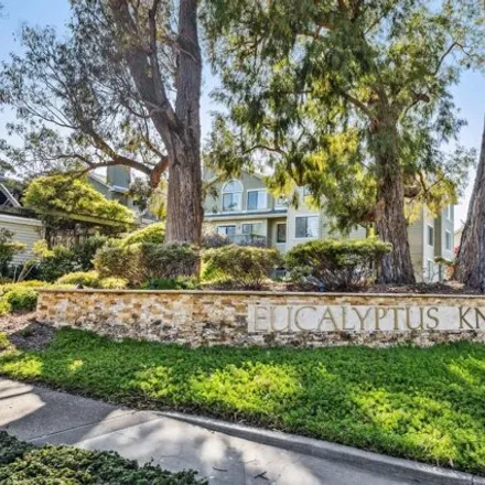 Buy this 2 bed condo on 132 Eucalyptus Knoll Street in Mill Valley, CA 94941