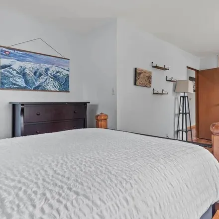 Image 7 - Leadville, CO, 80461 - House for rent