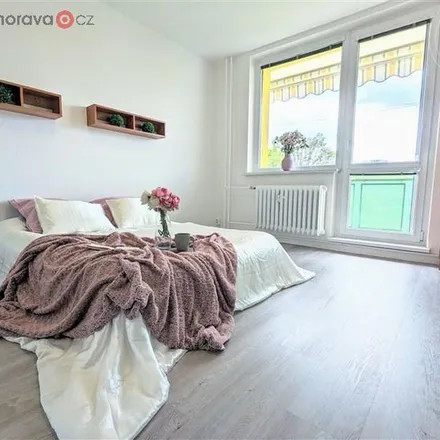 Image 8 - Palackého třída, 612 00 Brno, Czechia - Apartment for rent