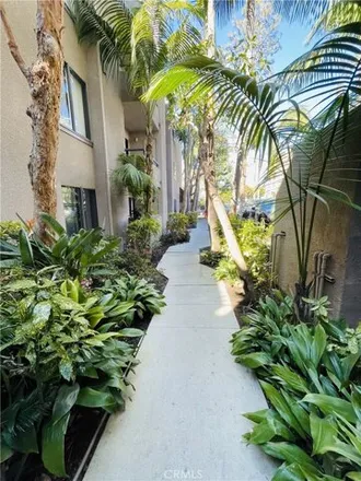 Image 3 - 8300 Manitoba Street, Los Angeles, CA 90293, USA - Condo for sale