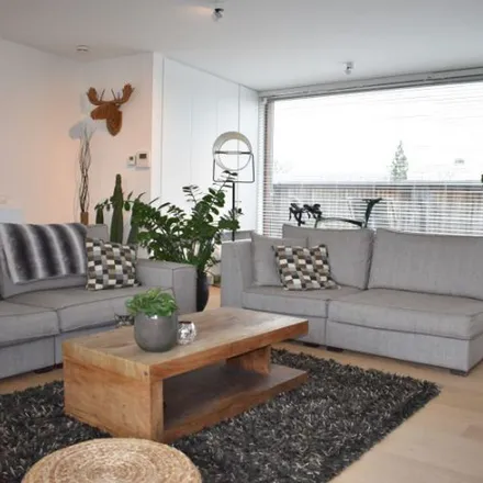 Rent this 1 bed apartment on Burgschelde 35 in 9700 Oudenaarde, Belgium