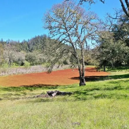 Image 5 - Petrified Forest Road, Sonoma County, CA, USA - House for sale