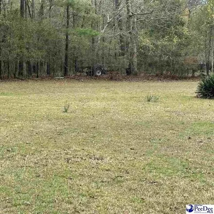 Image 4 - 399 South Wyandot Street, Woodcreek, Darlington County, SC 29532, USA - House for sale