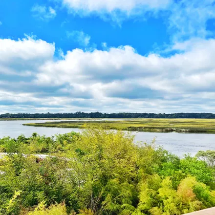 Image 3 - 598 Towles Crossing Drive, Charleston, SC 29455, USA - House for sale