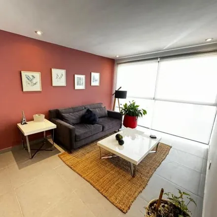 Rent this 2 bed apartment on Calle Gobernador Protasio Pérez de Tagle 103 in Miguel Hidalgo, 11850 Santa Fe