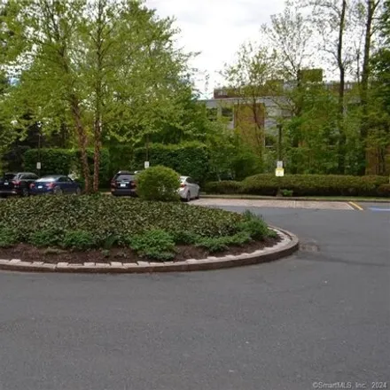 Image 5 - The Woodland, 31 Woodland Street, Parkville, Hartford, CT 06105, USA - Condo for rent