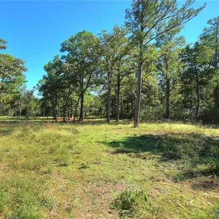 Image 4 - Cannon Lane, Bastrop County, TX 78602, USA - House for sale