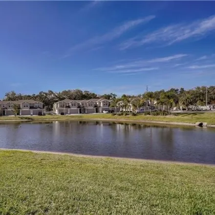 Image 9 - Lake Ridge Boulevard, Clearwater, FL 33763, USA - Townhouse for rent