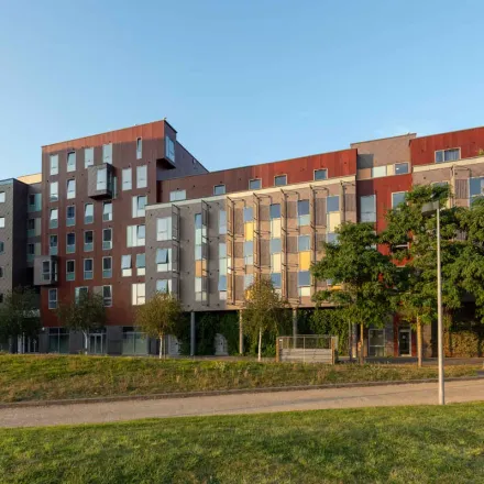 Image 8 - University of Suffolk, University Avenue, Ipswich, IP3 0BH, United Kingdom - Apartment for rent