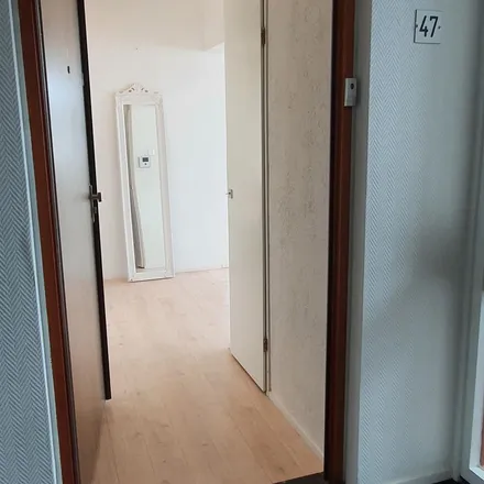 Image 6 - Passage 3F-1, 2042 KR Zandvoort, Netherlands - Apartment for rent