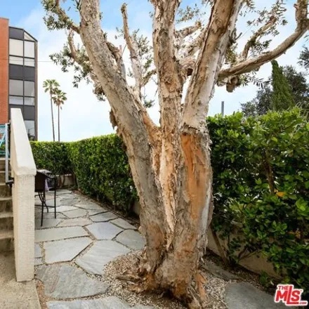 Image 4 - 6209 Pacific Avenue, Los Angeles, CA 90293, USA - Condo for rent
