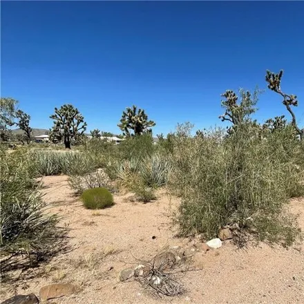 Image 4 - 26418 Apple Drive, Mohave County, AZ 86444, USA - House for sale