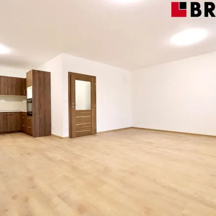 Rent this 1 bed apartment on Škroupova 3889/41 in 636 00 Brno, Czechia