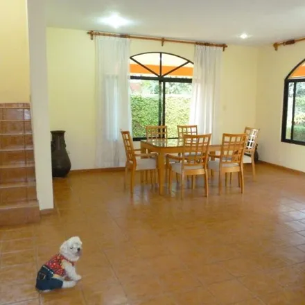 Rent this 3 bed house on Calle 15 in 97305 Cholul, YUC