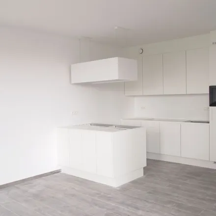 Image 8 - Van Immerseelstraat, 2018 Antwerp, Belgium - Apartment for rent