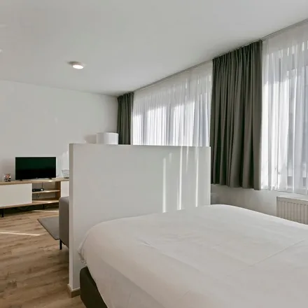 Image 7 - Ozawa, Allée Verte - Groendreef 5, 1000 Brussels, Belgium - Apartment for rent