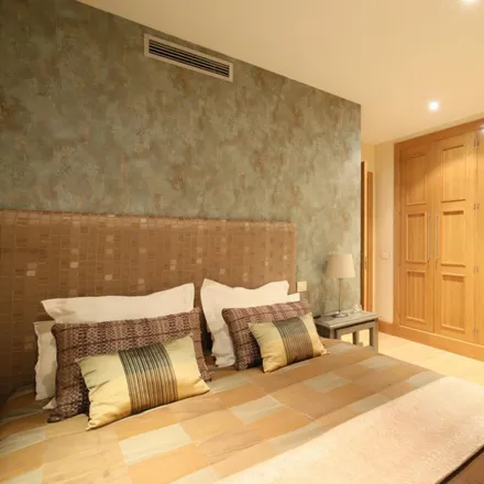Rent this 1 bed apartment on Madrid in Paseo de la Castellana, 176
