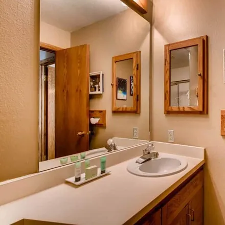 Image 4 - Crested Butte, CO, 81224 - Condo for rent