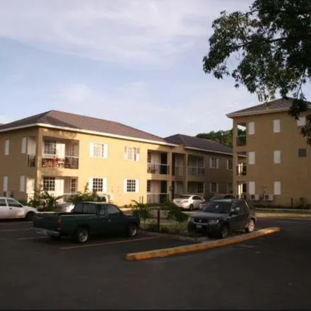 Rent this 1 bed apartment on Wellington Drive in Liguanea, Kingston