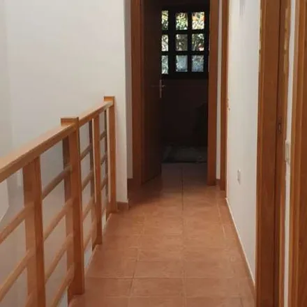 Image 9 - Camino Al Palmeral, 35017 Las Palmas de Gran Canaria, Spain - Apartment for rent