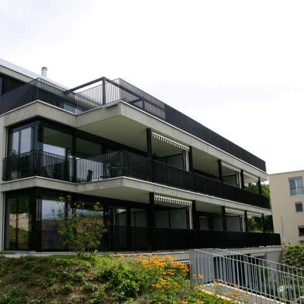 Apartments for rent in Winkel, Switzerland - Rentberry