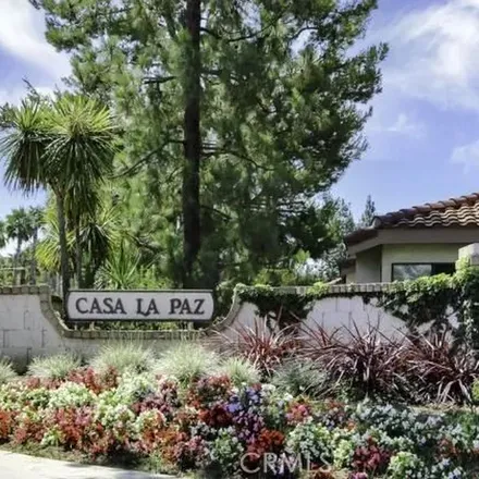 Rent this 1 bed apartment on 24353 El Pilar in Laguna Niguel, CA 92677