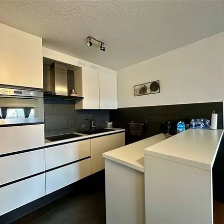 Image 5 - Brouwershoek 26, 2150 Borsbeek, Belgium - Apartment for rent