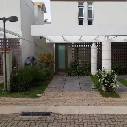 Image 2 - Rua Tocantins, Centro, Indaiatuba - SP, 13330-060, Brazil - House for rent