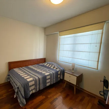 Image 7 - General Arenales Extension Street, Miraflores, Lima Metropolitan Area 15073, Peru - Apartment for rent