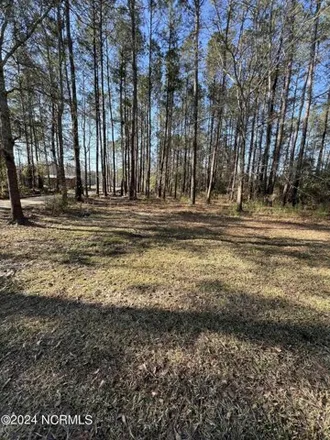 Image 3 - 258 Copperhead Lane, Pender County, NC 28425, USA - Apartment for sale