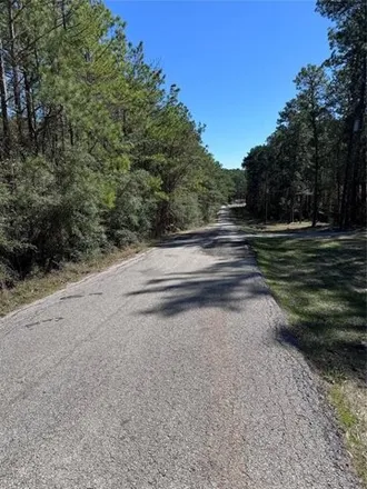 Image 4 - 299 Creekside Drive, Onalaska, Polk County, TX 77360, USA - House for sale