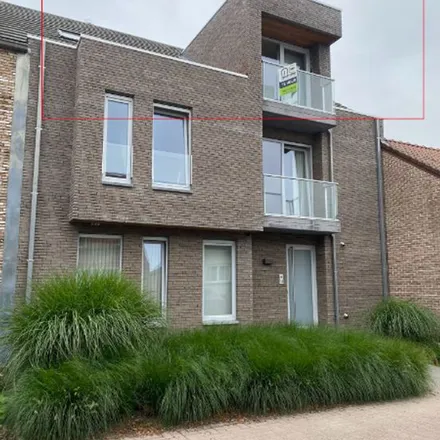 Image 2 - De Pacht, 9690 Ruien, Belgium - Apartment for rent