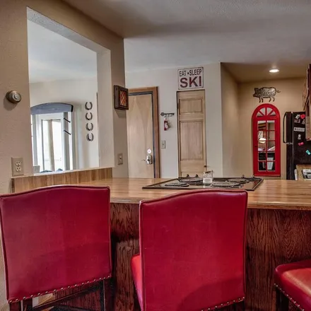 Image 9 - Silverthorne, CO, 80497 - Condo for rent