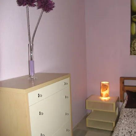 Rent this 1 bed apartment on Flamenco y Mas in Calle San Luis, 116