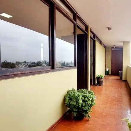 Image 2 - Calle Los Tiamos, La Molina, Lima Metropolitan Area 10051, Peru - Apartment for sale
