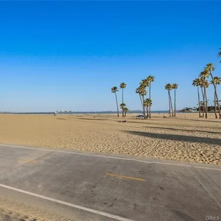 Image 8 - The Pacific, 850 East Ocean Boulevard, Long Beach, CA 90802, USA - Condo for rent