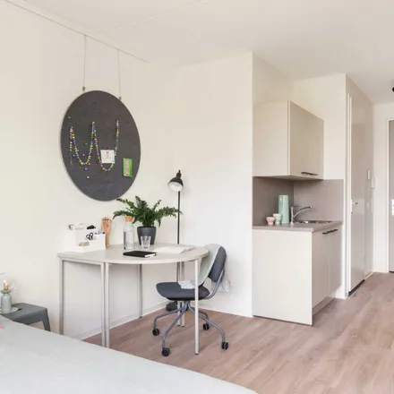 Image 5 - Rapenburg 67, 2311 GJ Leiden, Netherlands - Apartment for rent