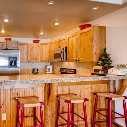 Image 5 - Crested Butte, CO, 81224 - Condo for rent