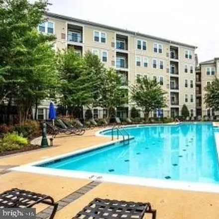 Rent this 1 bed apartment on The Grove at Arlington in 2311 25th Street South, Arlington