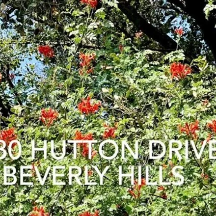 Rent this 4 bed house on 2780 Hutton Drive in Beverly Hills, CA 90210