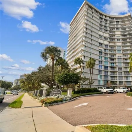 Rent this 1 bed condo on 2511 West Palm Drive in Tampa, FL 33608