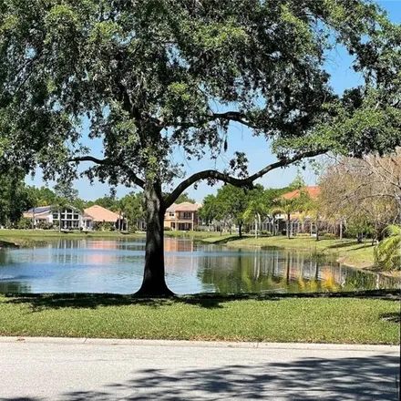 Image 1 - 21127 San Pablo Dr, Land O Lakes, Florida, 34637 - Apartment for sale