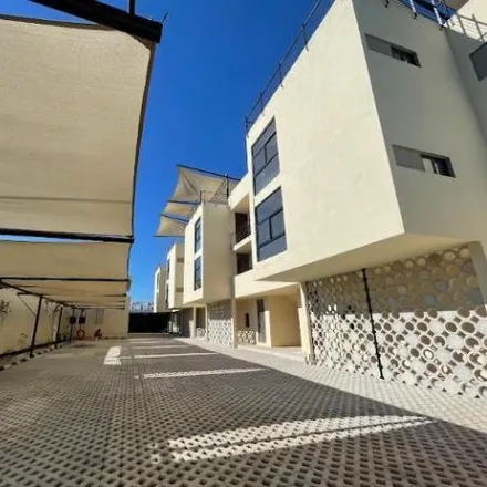 Rent this 2 bed apartment on unnamed road in 97310 Temozón Norte, YUC