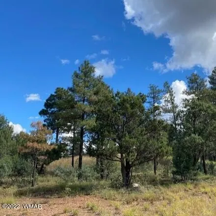 Image 1 - unnamed road, Show Low, AZ 85901, USA - House for sale