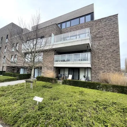 Image 6 - Grotesteenweg-Noord 103, 9052 Ghent, Belgium - Apartment for rent