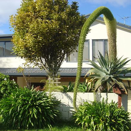 Rent this 1 bed house on Puketapapa in Roskill South, AUCKLAND