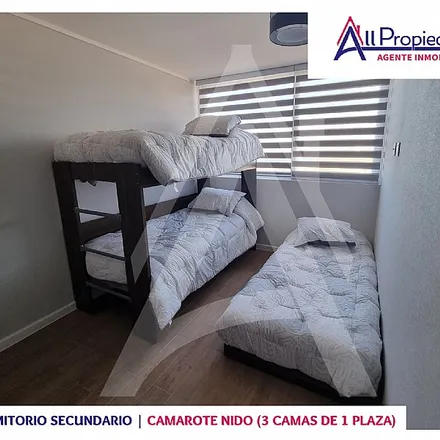 Image 3 - Los Ciruelos, 179 0437 Coquimbo, Chile - Apartment for rent