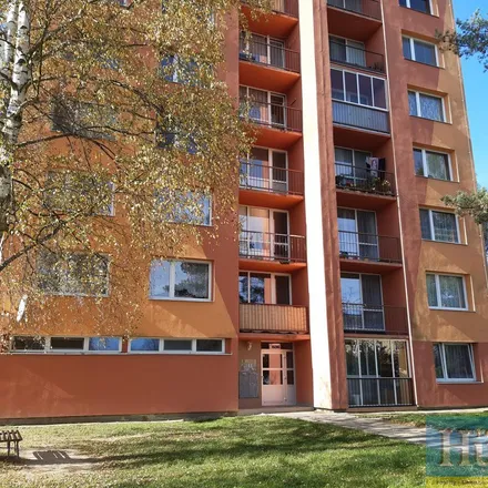 Image 2 - unnamed road, 394 01 Rynárec, Czechia - Apartment for rent